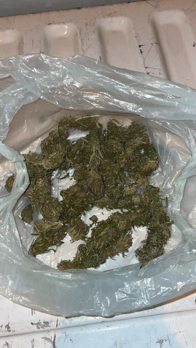 Dos personas aprehendidas por transportar marihuana